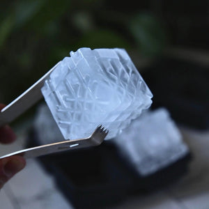 Crystal Cocktail Ice Tray - Cook & Nelson
