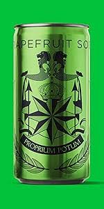 Grapefruit Soda, 10 x 180mL cans (Copy)