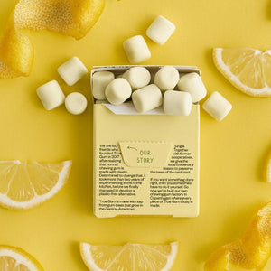 Lemon Gum Box, 24 Packs - Cook & Nelson